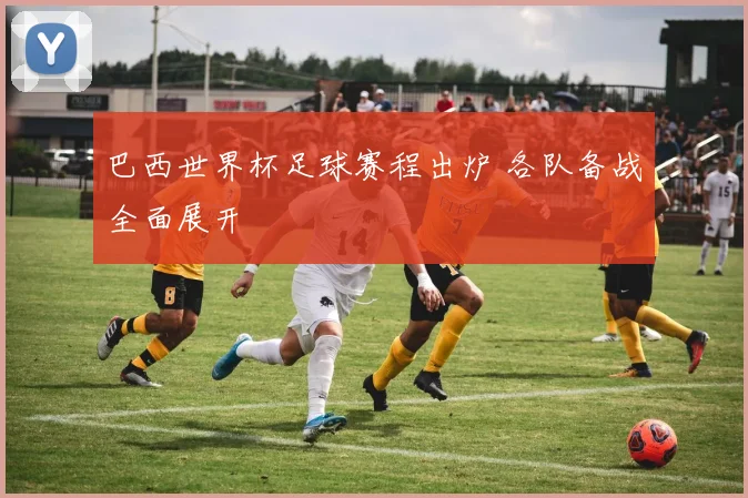 巴西世界杯足球赛程出炉 各队备战全面展开